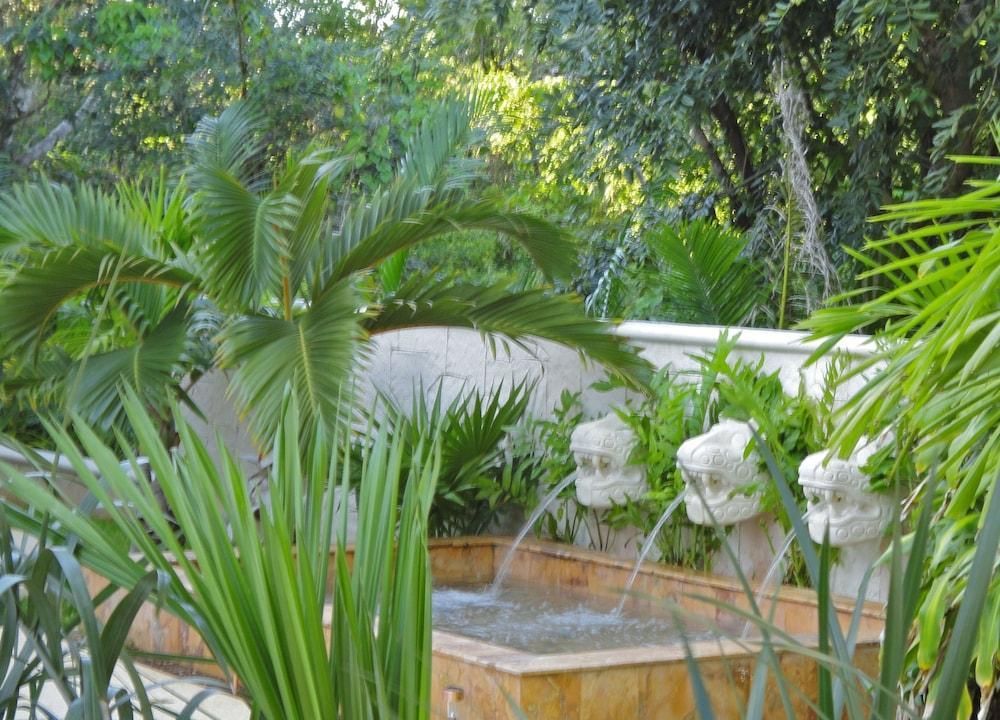 Casa Jaguar Puerto Aventuras by KVR
