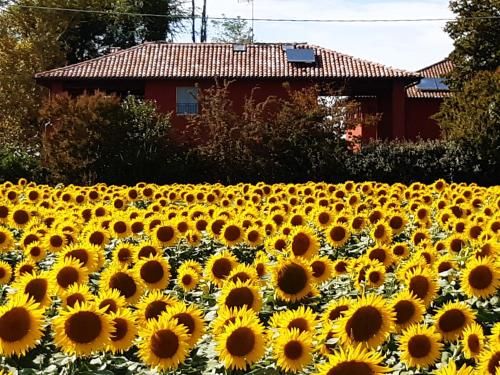 Outdoor Pictures 15