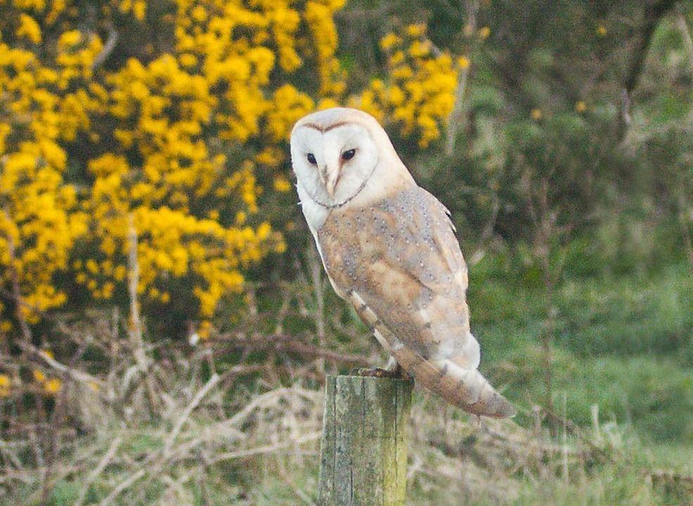 Airds Farm B & B