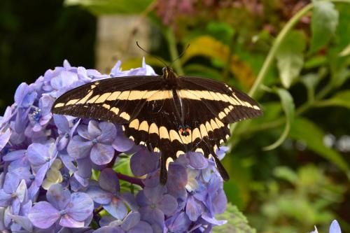 Outdoor Pictures 24