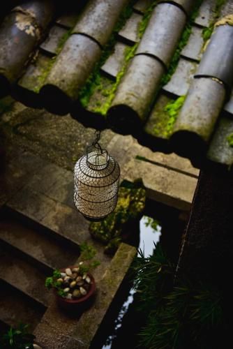Outdoor Pictures 23