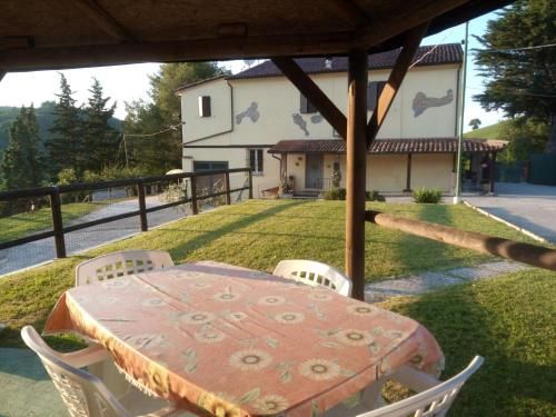 Outdoor Pictures 8