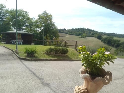 Outdoor Pictures 9