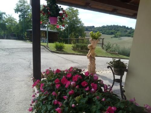 Outdoor Pictures 10