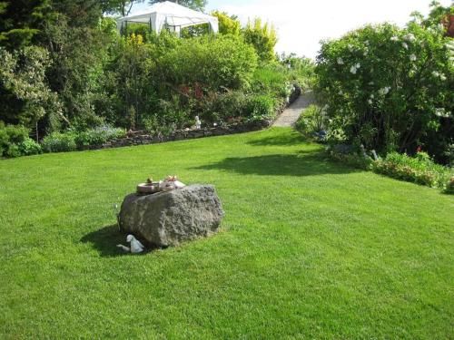 Outdoor Pictures 6