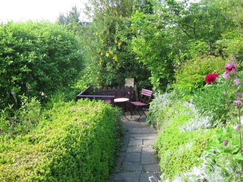 Outdoor Pictures 7