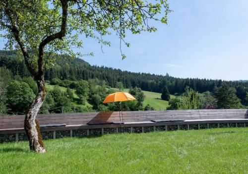 Outdoor Pictures 7