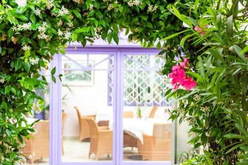 Outdoor Pictures 20