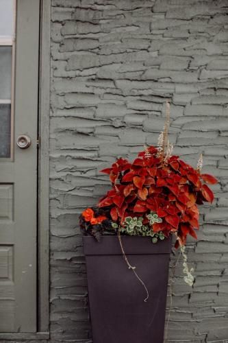 Outdoor Pictures 23