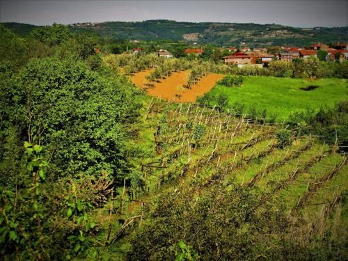 Outdoor Pictures 9