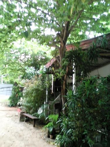 Outdoor Pictures 13