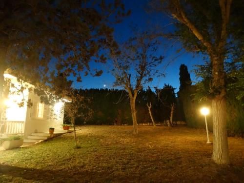 Outdoor Pictures 3