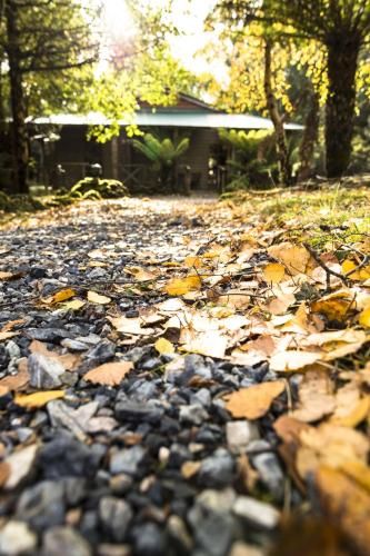 Outdoor Pictures 24