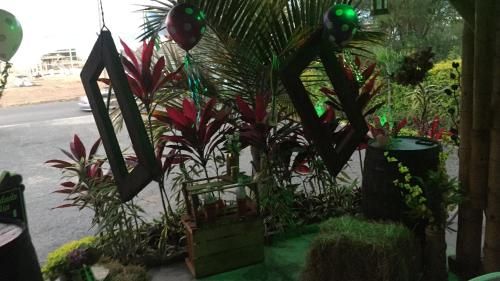 Motel Kamasutra