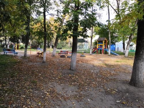 Outdoor Pictures 15
