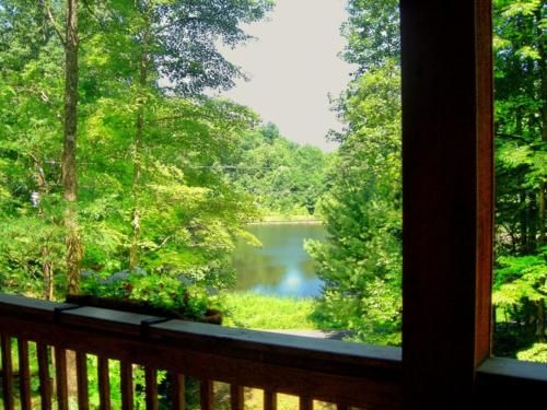 Outdoor Pictures 4