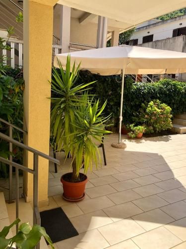 Outdoor Pictures 5