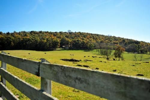 Outdoor Pictures 21