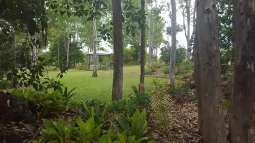 Outdoor Pictures 4