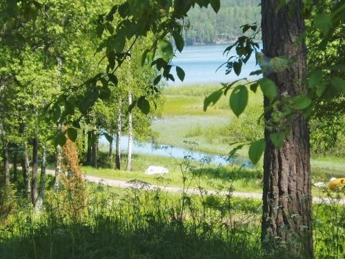 Outdoor Pictures 16