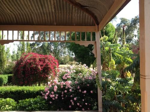 Outdoor Pictures 24