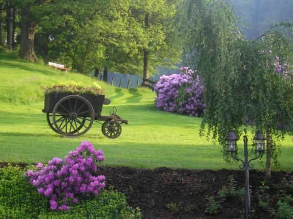 Outdoor Pictures 16
