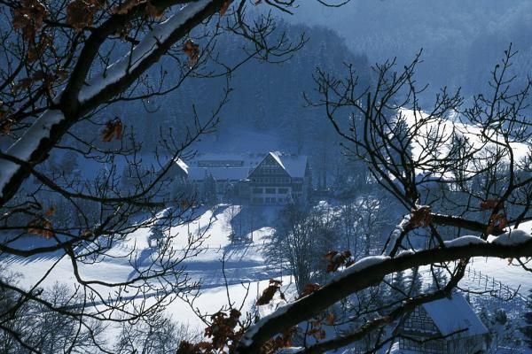 Outdoor Pictures 24