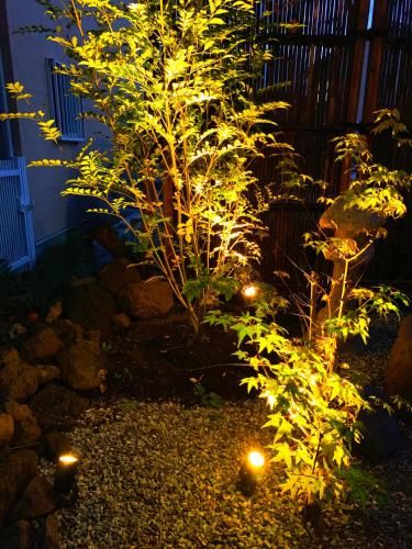 Outdoor Pictures 5