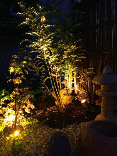Outdoor Pictures 7