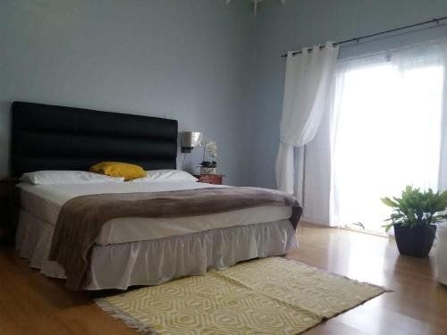 Studio Chateau - Manor Park, Kingston 8