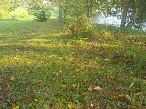 Outdoor Pictures 15