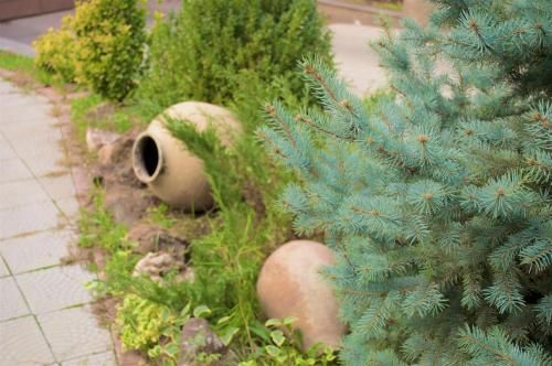 Outdoor Pictures 23