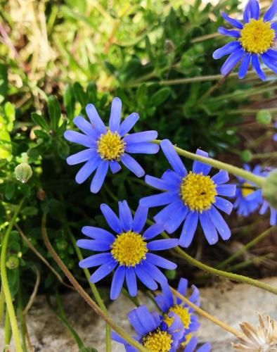Outdoor Pictures 15