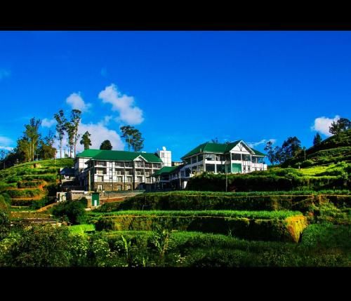 Outdoor Pictures 23