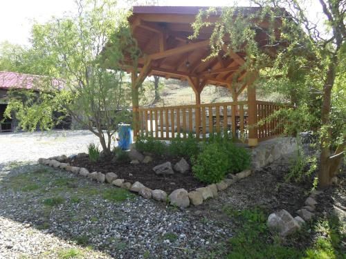 Outdoor Pictures 8