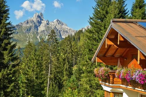Outdoor Pictures 21