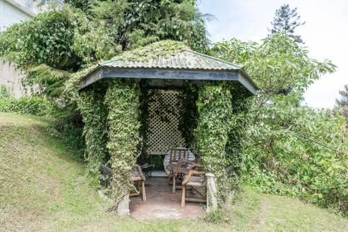 Outdoor Pictures 24