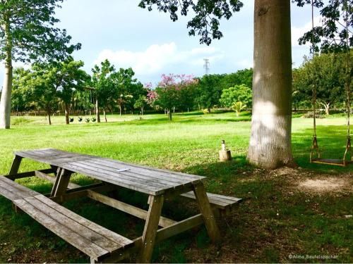 Outdoor Pictures 5