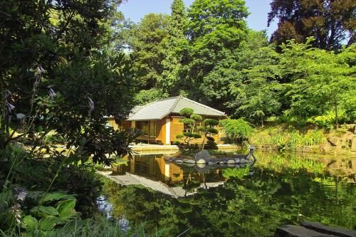 Outdoor Pictures 21