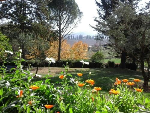 Outdoor Pictures 7