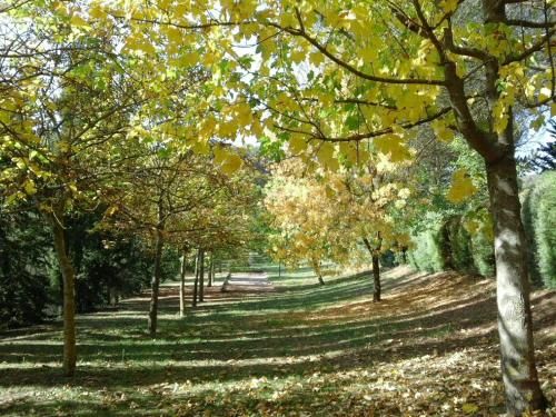 Outdoor Pictures 8