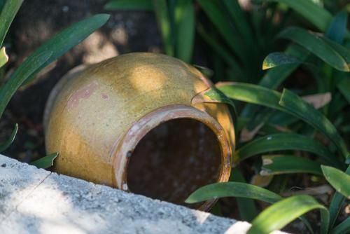 Outdoor Pictures 12