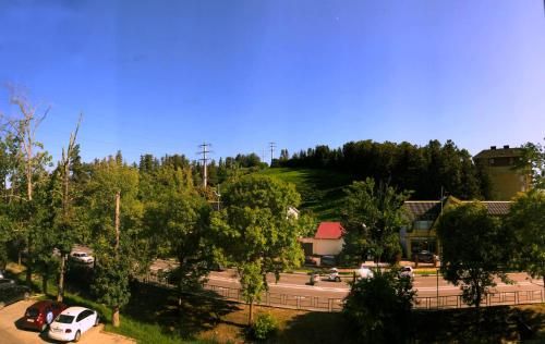 Outdoor Pictures 23