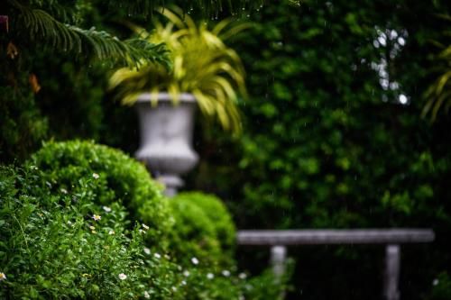 Outdoor Pictures 11