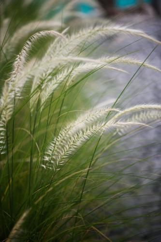 Outdoor Pictures 14