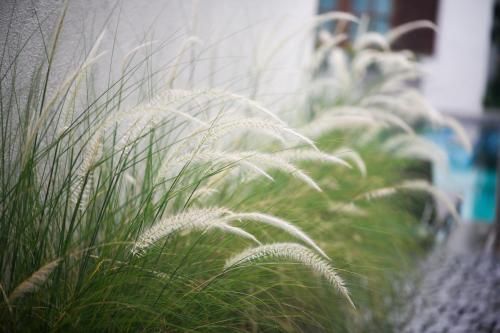 Outdoor Pictures 13