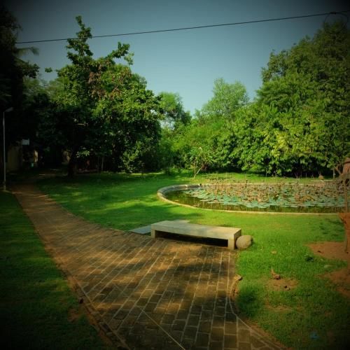 Outdoor Pictures 4