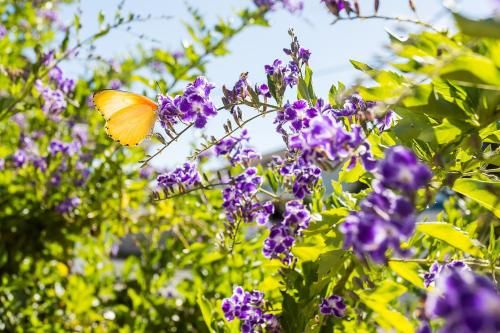 Outdoor Pictures 21