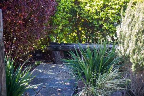 Outdoor Pictures 19
