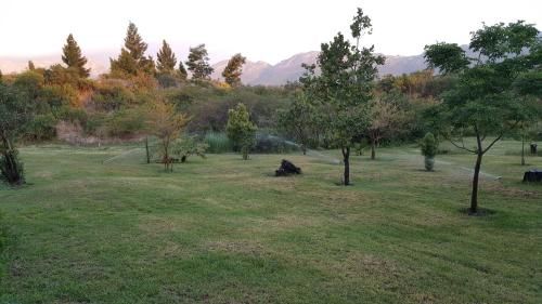 Outdoor Pictures 15